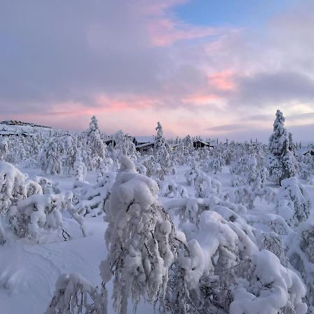 Villa Haukka ซาริเซลกา ภายนอก รูปภาพ