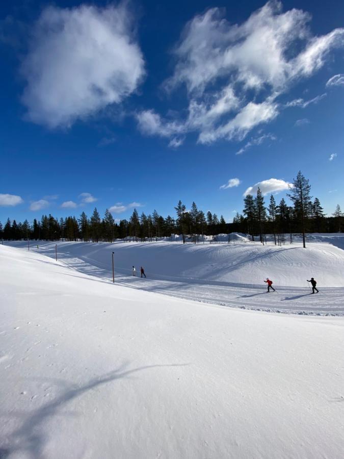 Villa Haukka ซาริเซลกา ภายนอก รูปภาพ