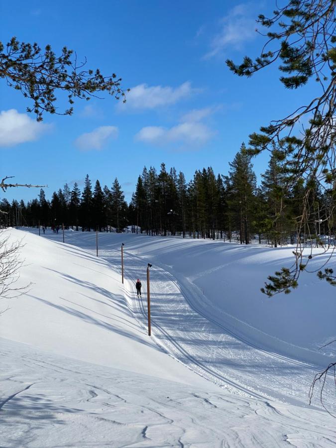 Villa Haukka ซาริเซลกา ภายนอก รูปภาพ