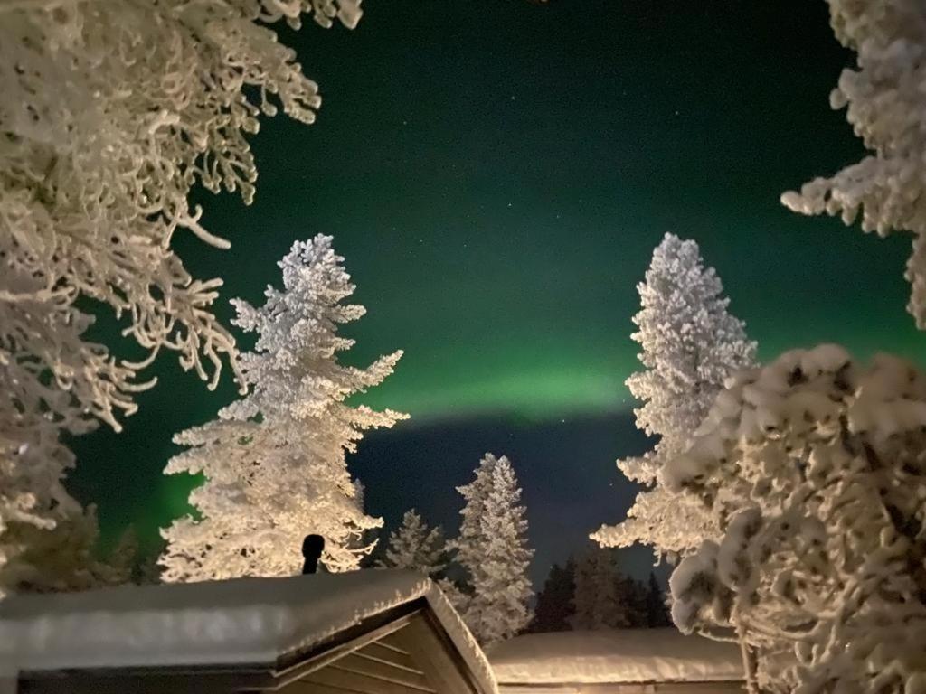 Villa Haukka ซาริเซลกา ภายนอก รูปภาพ