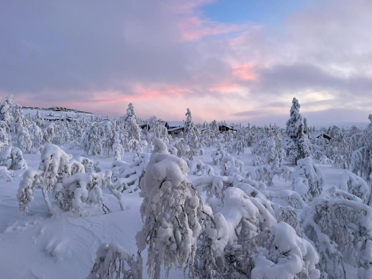 Villa Haukka ซาริเซลกา ภายนอก รูปภาพ
